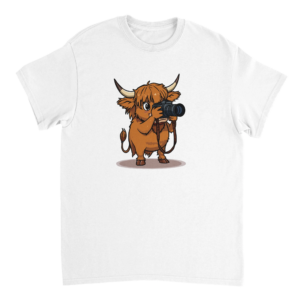 highland cow photographer